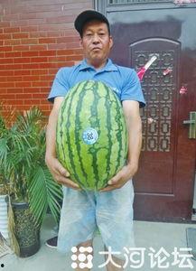 51今日吃瓜热门大瓜视频