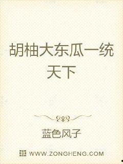 网红大瓜小说免费阅读,免费阅读背后的秘密与诱惑